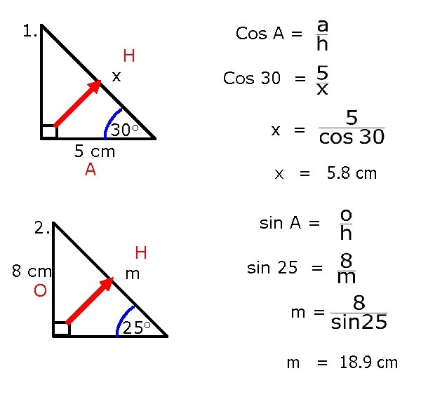 1. Cos A = x H Cos 30 = 30 o 5 cm A