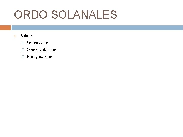 ORDO SOLANALES Suku : � Solanaceae � Convolvulaceae � Boraginaceae 