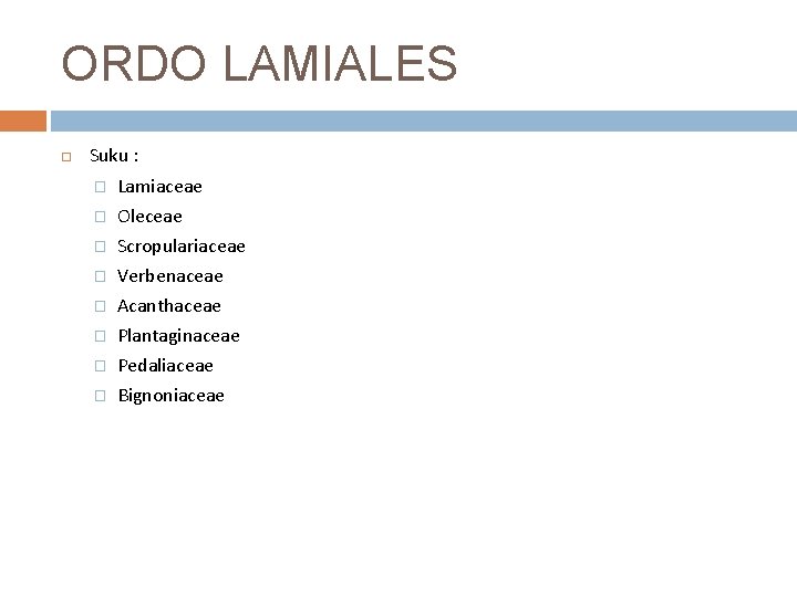 ORDO LAMIALES Suku : � Lamiaceae � Oleceae � Scropulariaceae � Verbenaceae � Acanthaceae