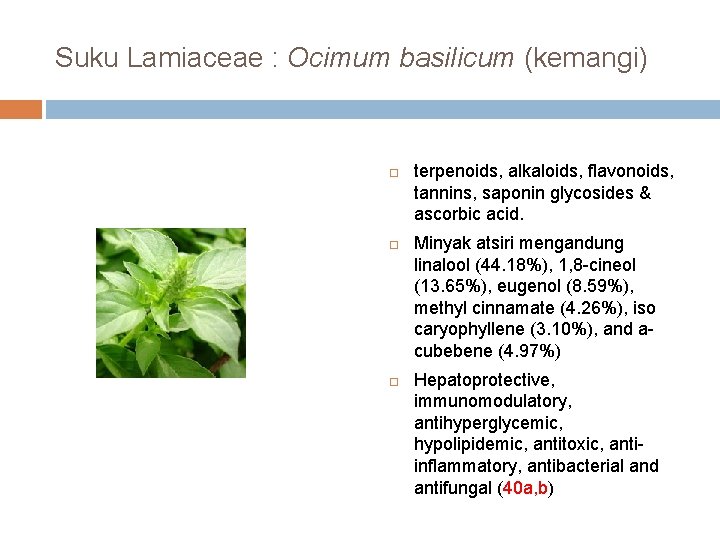 Suku Lamiaceae : Ocimum basilicum (kemangi) terpenoids, alkaloids, flavonoids, tannins, saponin glycosides & ascorbic