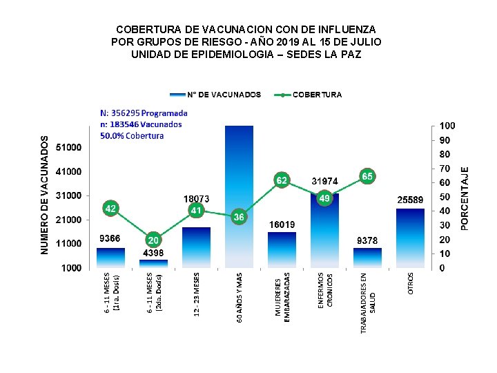 COBERTURA DE VACUNACION CON DE INFLUENZA POR GRUPOS DE RIESGO - AÑO 2019 AL