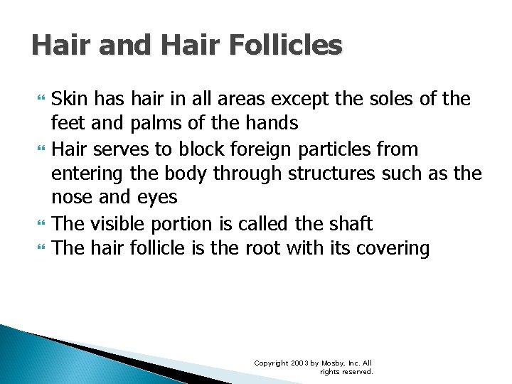 Hair and Hair Follicles Skin has hair in all areas except the soles of