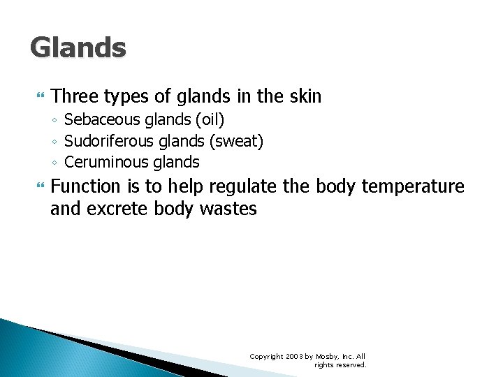 Glands Three types of glands in the skin ◦ Sebaceous glands (oil) ◦ Sudoriferous