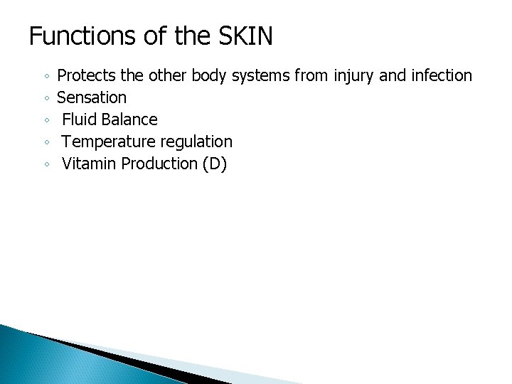 Functions of the SKIN ◦ ◦ ◦ Protects the other body systems from injury