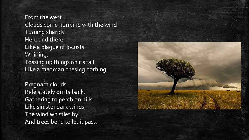 From the west Clouds come hurrying with the wind Turning sharply Here and there From the west Clouds come hurrying with the wind Turning sharply Here and there