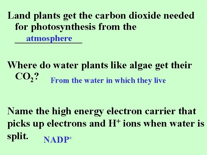 Land plants get the carbon dioxide needed for photosynthesis from the atmosphere _______ Where