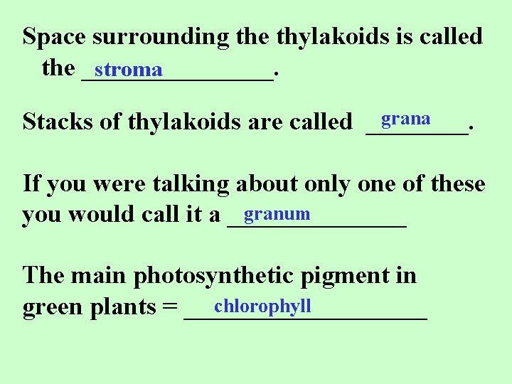 Space surrounding the thylakoids is called the ________. stroma grana Stacks of thylakoids are