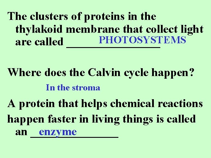 The clusters of proteins in the thylakoid membrane that collect light PHOTOSYSTEMS are called