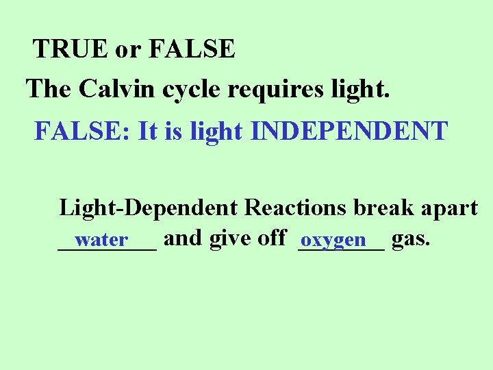 TRUE or FALSE The Calvin cycle requires light. FALSE: It is light INDEPENDENT Light-Dependent