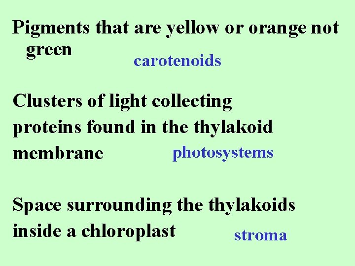 Pigments that are yellow or orange not green carotenoids Clusters of light collecting proteins