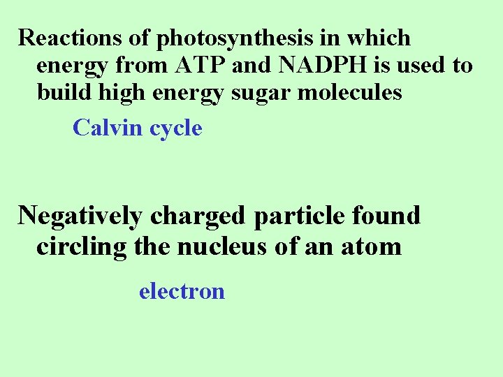 Reactions of photosynthesis in which energy from ATP and NADPH is used to build