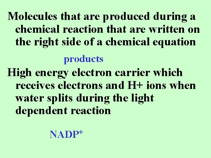 Molecules that are produced during a chemical reaction that are written on the right