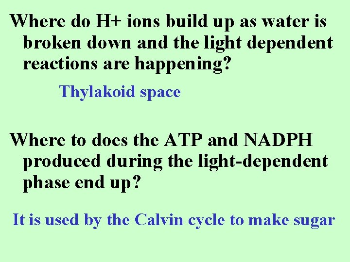 Where do H+ ions build up as water is broken down and the light