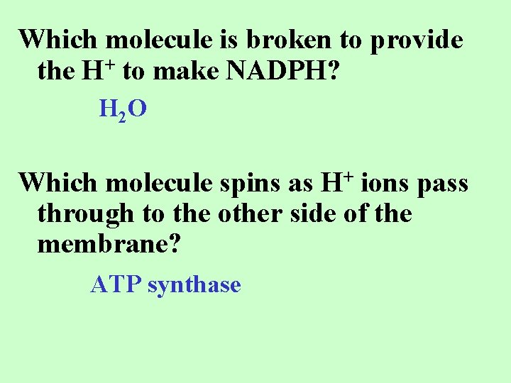 Which molecule is broken to provide the H+ to make NADPH? H 2 O