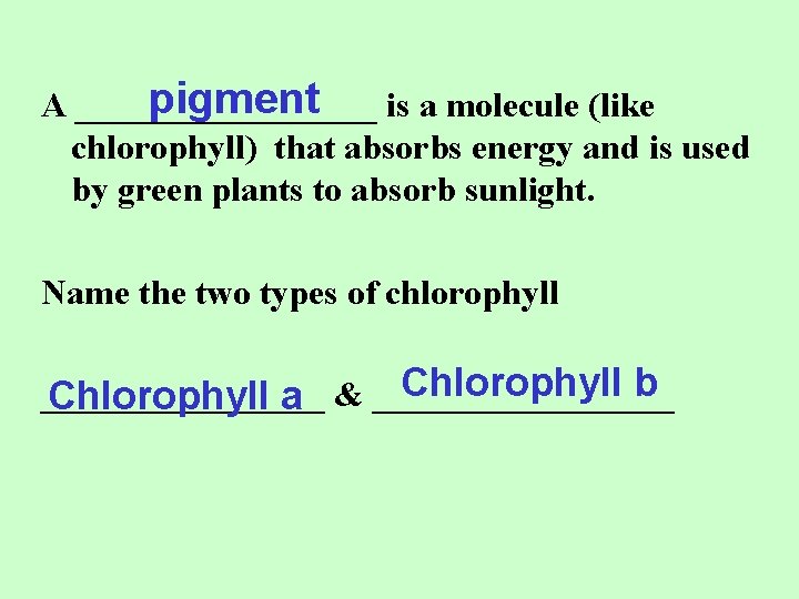 pigment is a molecule (like A _________ chlorophyll) that absorbs energy and is used