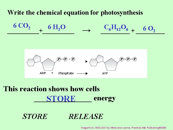 Write the chemical equation for photosynthesis 6 CO 2 6 H O 2 ______+______