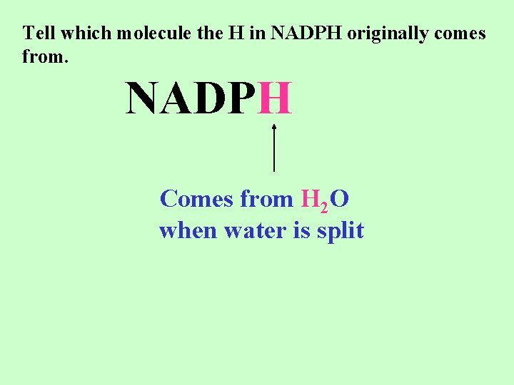 Tell which molecule the H in NADPH originally comes from. NADPH Comes from H