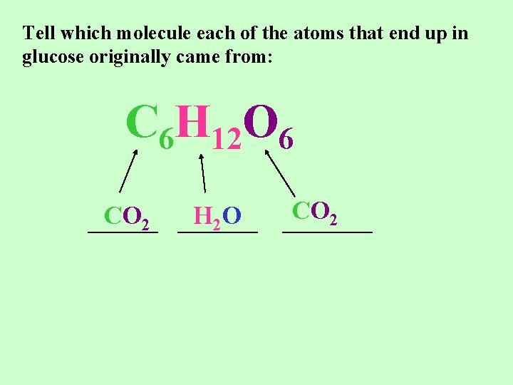 Tell which molecule each of the atoms that end up in glucose originally came