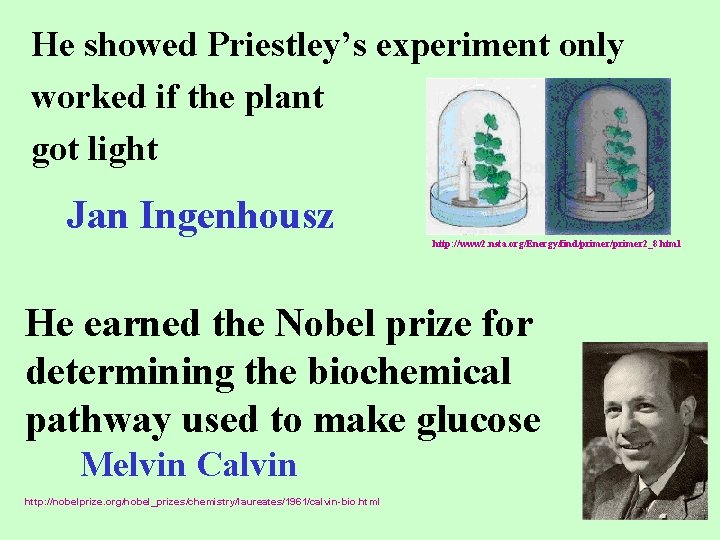 He showed Priestley’s experiment only worked if the plant got light Jan Ingenhousz http: