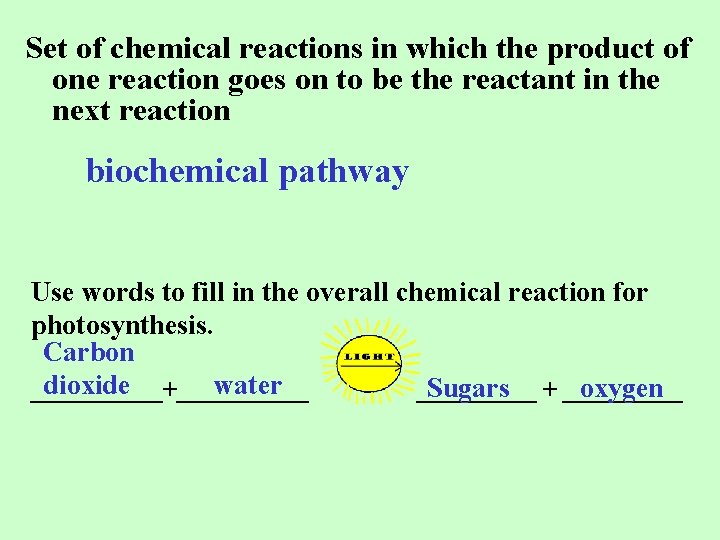 Set of chemical reactions in which the product of one reaction goes on to