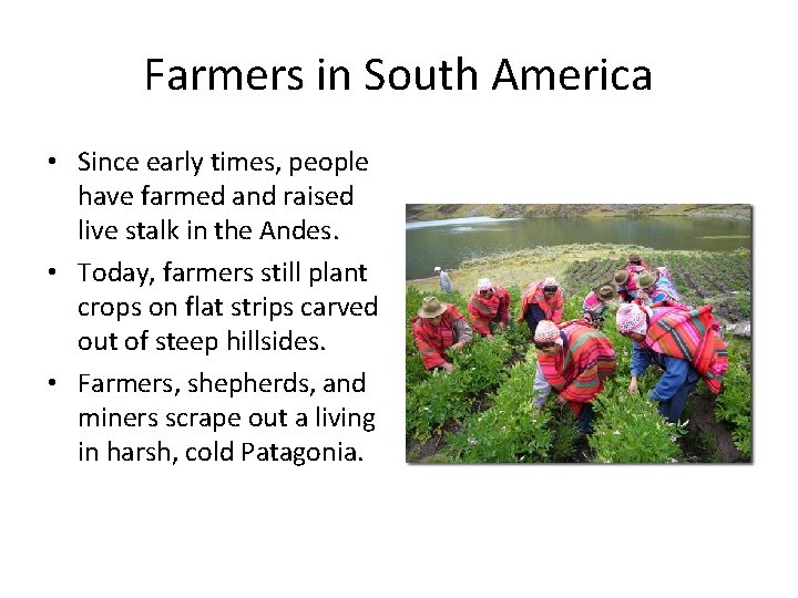 Farmers in South America • Since early times, people have farmed and raised live
