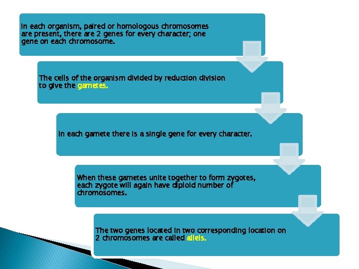 In each organism, paired or homologous chromosomes are present, there are 2 genes for