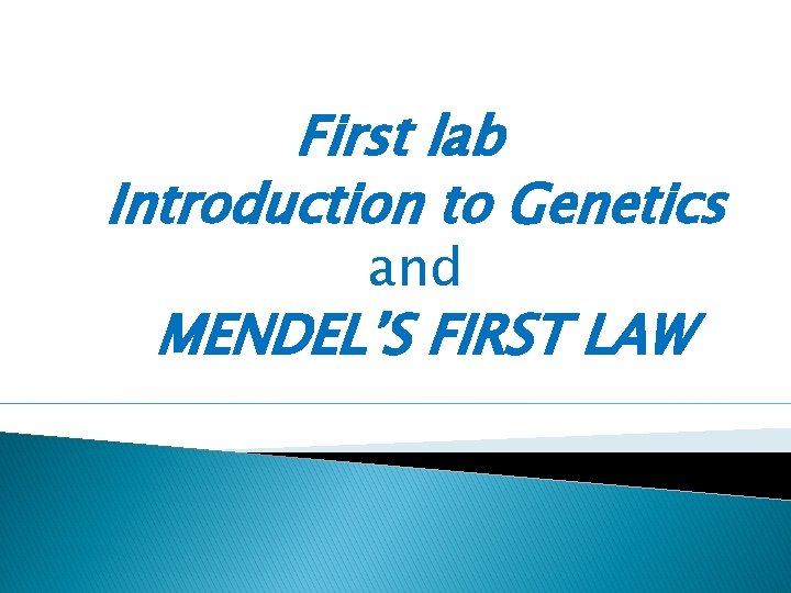 First lab Introduction to Genetics and MENDEL’S FIRST LAW 