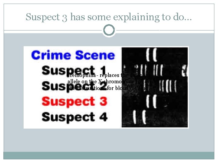 Suspect 3 has some explaining to do… Hemophilia- replaces the defective allele on the