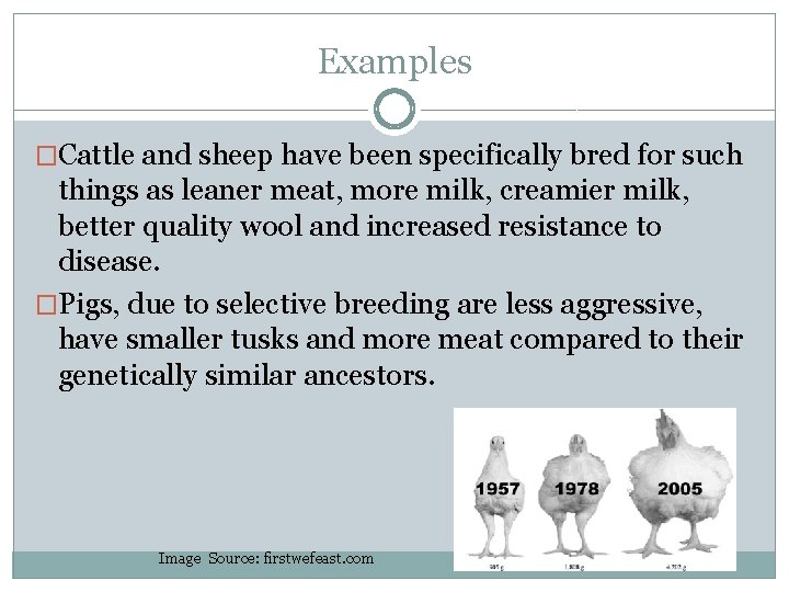 Examples �Cattle and sheep have been specifically bred for such things as leaner meat,