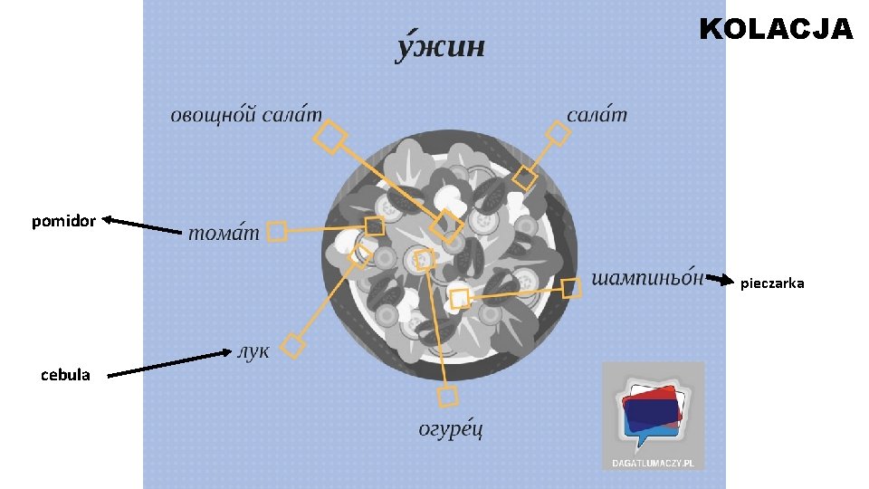 KOLACJA pomidor pieczarka cebula 