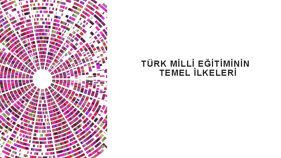  TÜRK MİLLİ EĞİTİMİNİN TEMEL İLKELERİ 