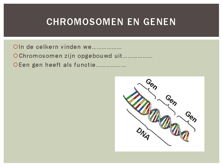 CHROMOSOMEN EN GENEN In de celkern vinden we……………… Chromosomen zijn opgebouwd uit……………… Een gen