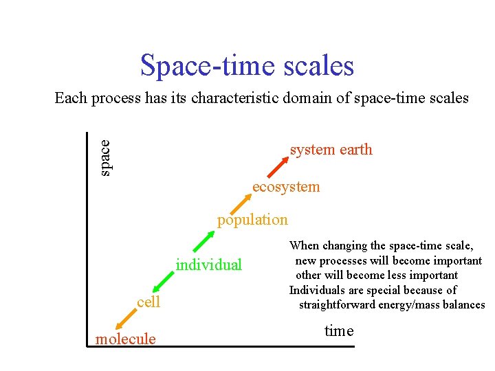 Space-time scales Each process has its characteristic domain of space-time scales space system earth