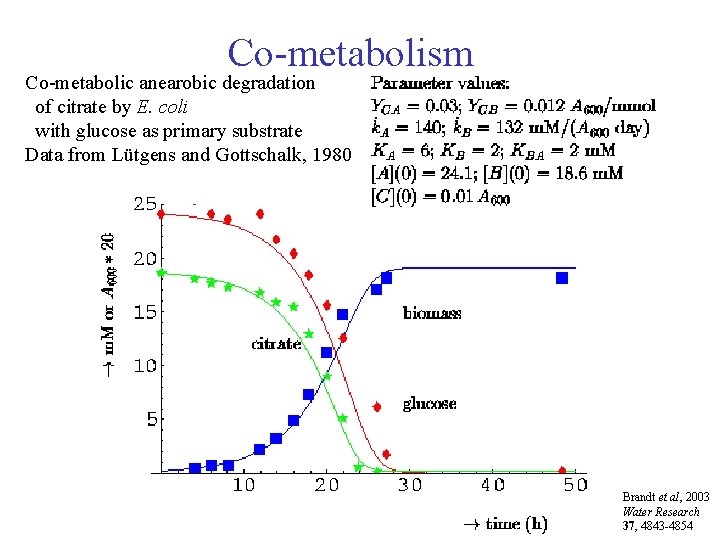 Co-metabolism Co-metabolic anearobic degradation of citrate by E. coli with glucose as primary substrate