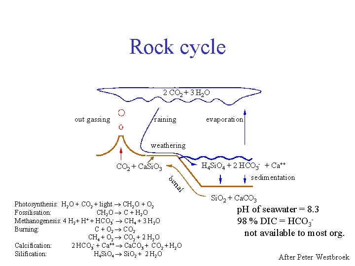 Rock cycle 2 CO 2 + 3 H 2 O out gassing raining evaporation