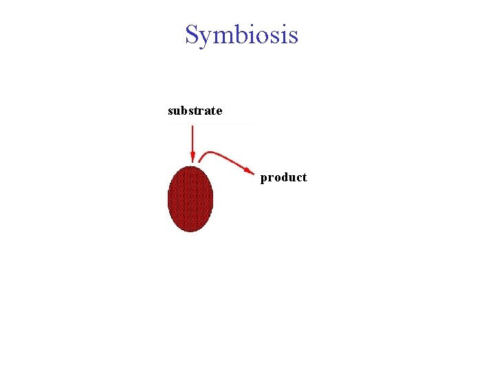 Symbiosis substrate product 