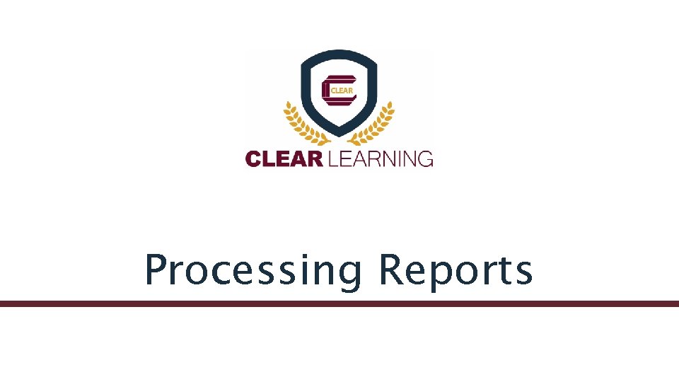 Processing Reports 