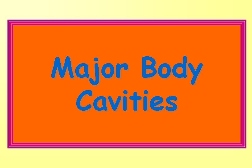 Major Body Cavities 