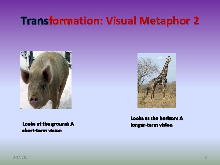 Transformation: Visual Metaphor 2 Looks at the ground: A short-term vision 3/2/2021 Looks at