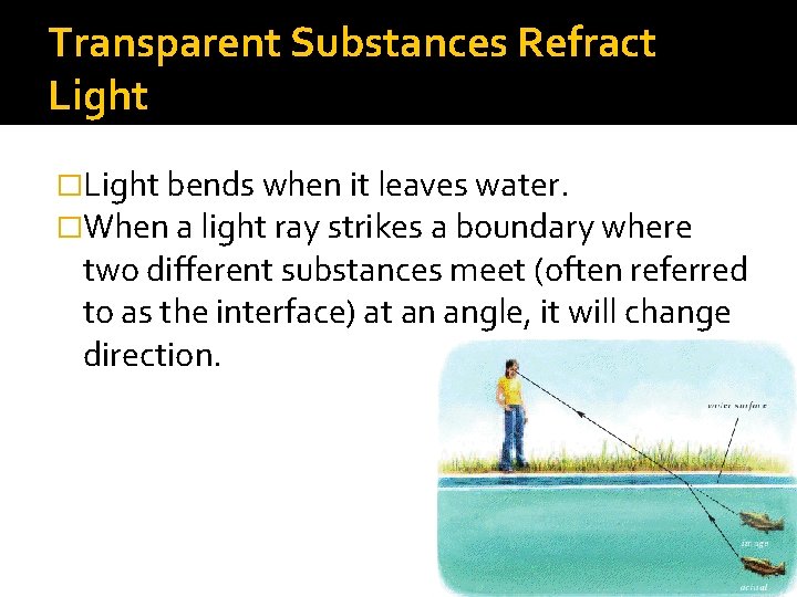 Transparent Substances Refract Light �Light bends when it leaves water. �When a light ray