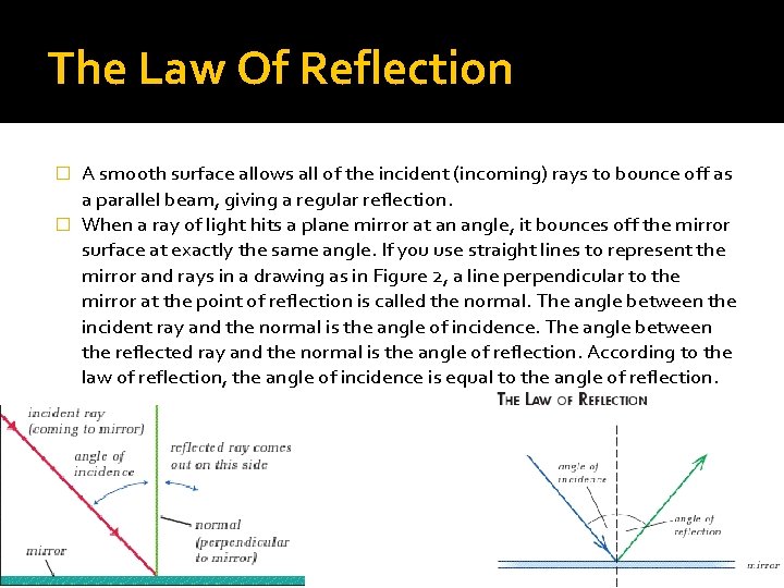 The Law Of Reflection A smooth surface allows all of the incident (incoming) rays