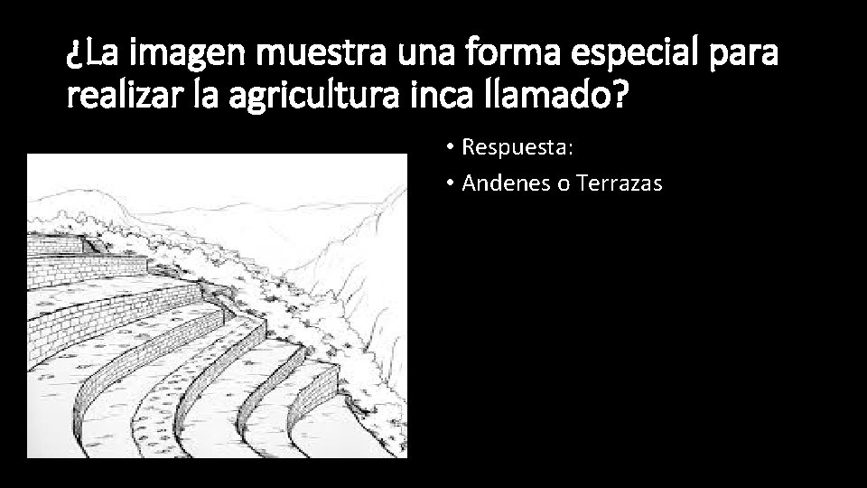 ¿La imagen muestra una forma especial para realizar la agricultura inca llamado? • Respuesta: