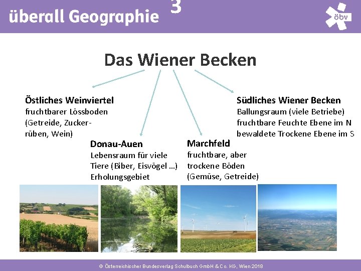 3 4 Das Wiener Becken Östliches Weinviertel fruchtbarer Lössboden (Getreide, Zuckerrüben, Wein) Donau-Auen Lebensraum