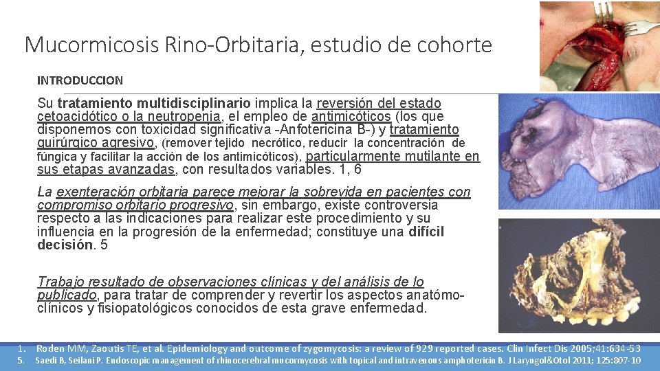 Mucormicosis Rino-Orbitaria, estudio de cohorte INTRODUCCION Su tratamiento multidisciplinario implica la reversión del estado