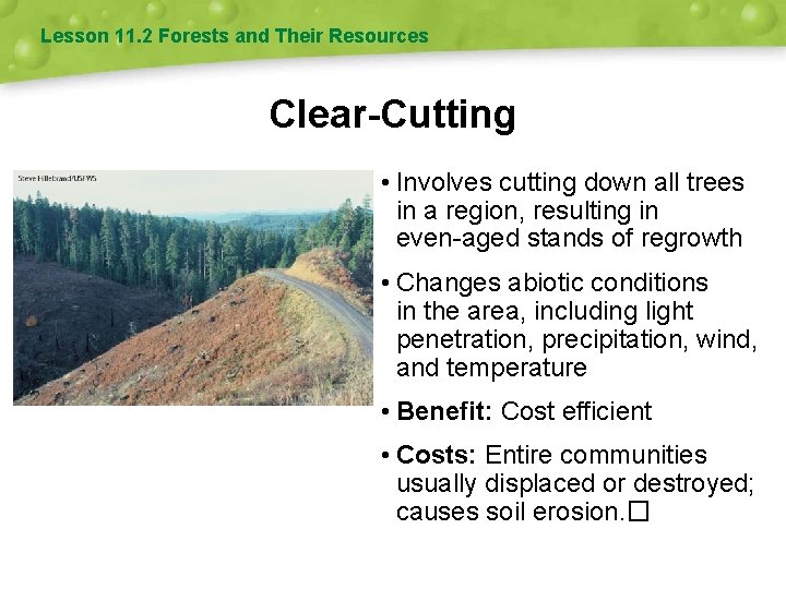 Lesson 11. 2 Forests and Their Resources Clear-Cutting • Involves cutting down all trees