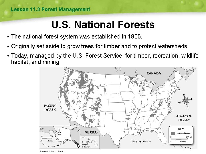 Lesson 11. 3 Forest Management U. S. National Forests • The national forest system