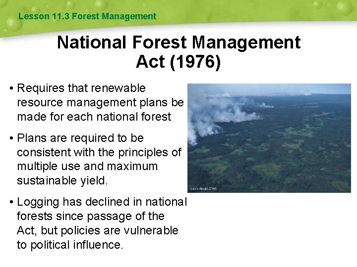 Lesson 11. 3 Forest Management National Forest Management Act (1976) • Requires that renewable