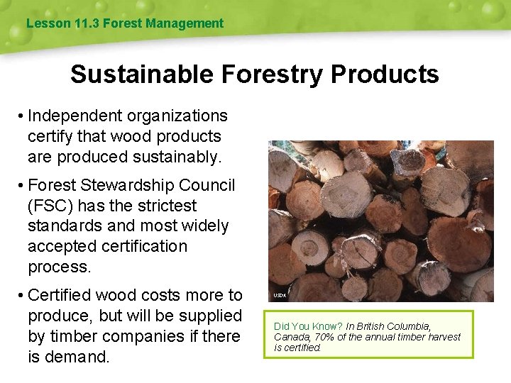 Lesson 11. 3 Forest Management Sustainable Forestry Products • Independent organizations certify that wood