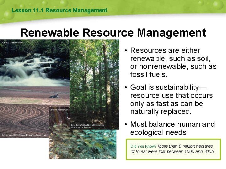 Lesson 11. 1 Resource Management Renewable Resource Management • Resources are either renewable, such