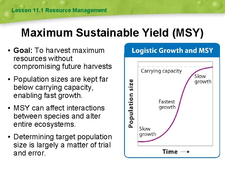 Lesson 11. 1 Resource Management Maximum Sustainable Yield (MSY) • Goal: To harvest maximum